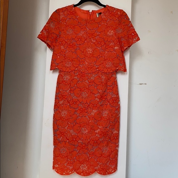 Topshop Coral Lace Cocktail Dress - Picture 4 of 8